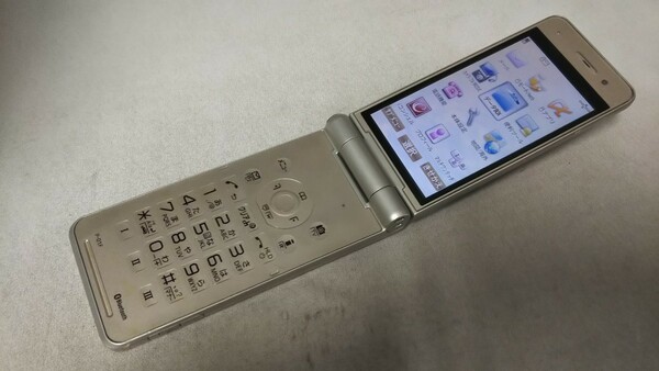 D4864 docomo FOMA P-01F Panasonic パナソニック ガラケー 折り畳み式 簡易動作確認＆簡易清掃＆初期化OK 判定○ 現状品 送料無料　