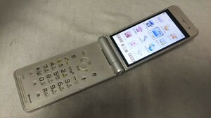 D4877 docomo FOMA P-01F Panasonic パナソニック ガラケー 折り畳み式 簡易動作確認＆簡易清掃＆初期化OK 判定○ 現状品 送料無料　