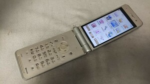 D4879 docomo FOMA P-01F Panasonic パナソニック ガラケー 折り畳み式 簡易動作確認＆簡易清掃＆初期化OK 判定○ 現状品 送料無料　