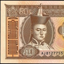 モンゴル 50トゥグルグ紙幣 2013年 135mm×66mm　＜AJ8127755＞_画像2