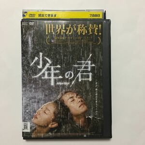 即決/DVD 少年の君 チョウ・ドンユイ(周冬雨) イー・ヤンチェンシー(易千璽) デレク・ツァン/日本語字幕のみ/レンタル店舗専用ケース付き