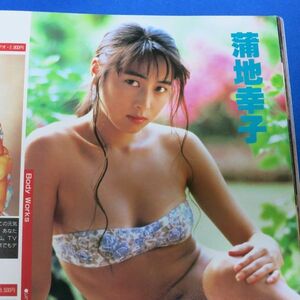 蒲池幸子（ZARD 坂井泉水）びでっこクラブ 1991年 超レア本 かとうれいこ