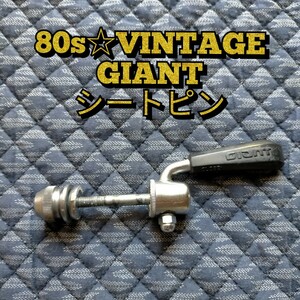 【90s☆ビンテージ】GIANT ジャイアント シートピン(MTB)
