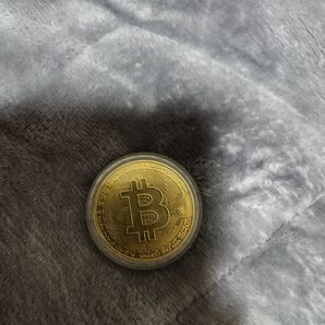 ビットコイン 硬貨 地方自治法