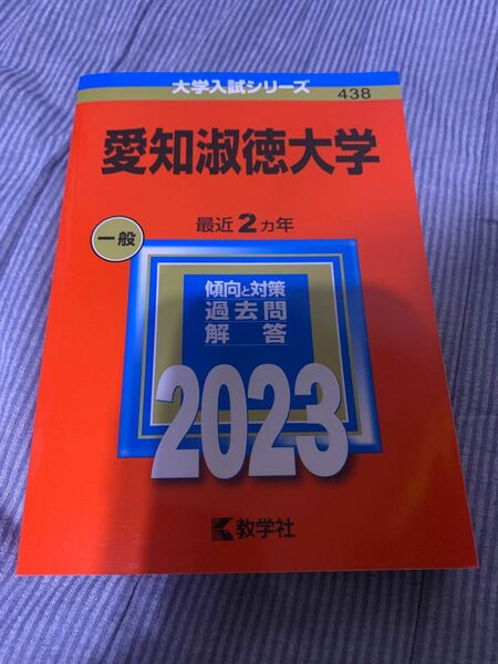 a193【新品未使用】　愛知淑徳大学　赤本　2024 匿名発送