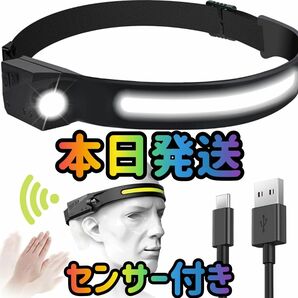 ヘッドライト 人感ライト ヘッド ランプ ライト USB IPX4防水 350ルーメン高輝度 サイズ調節可能 LED アウトドア