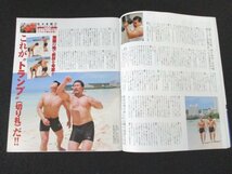 本 No1 01260 週刊ゴング 2006年4月19日号 前田日明の本気 佐々木健介インタビュー 中島勝彦インタービュー 今後の新日本プロレス_画像3