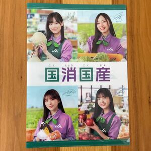 新品 未使用品　乃木坂46 クリアファイル ＪＡ　国消国産