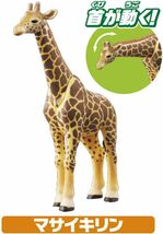 タカラトミー 『 アニア AA-01 サバンナの動物ギフトセット 』 動物 恐竜 リアル 動く フィギュア おもちゃ 3歳以上 玩_画像4