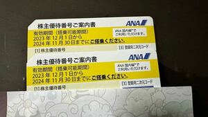 1円スタート 2枚 株主優待券 ANA 全日空 有効期間2023年12月1日～2024年11月30日 ご入金確認後に番号通知