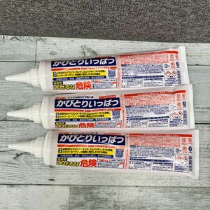 0511x1704 カビとり一発 500g 3本セット【業務用 かびとり】 500ml