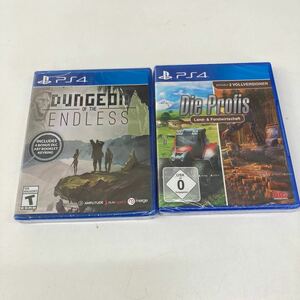 0511y2704 ★未開封★Dungeon of The Endless (輸入版:北米) - PS4（ps4ソフト）【２枚セット】