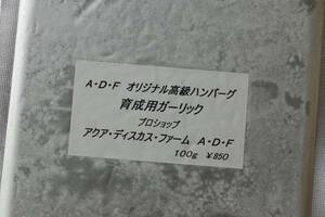 【ＡＤＦ】★オリジナル ハンバーグ　10枚セットa307