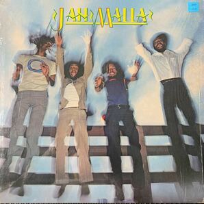 Jah Malla・レコード・Vinyl・シュリンク付・Modern Records・MR 38-135・ルームレゲエ・Roots Reggaeの画像1