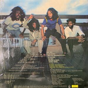 Jah Malla・レコード・Vinyl・シュリンク付・Modern Records・MR 38-135・ルームレゲエ・Roots Reggaeの画像2