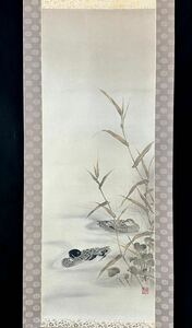 【真作】寺島映春「鴨」掛軸 絹本 花鳥図 鳥獣 日本画 日本美術 共箱 タトウ