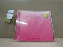 7595　レンタルアップCD シャーンノース「ソメイヨシノ?桜の木の下で?」_画像1