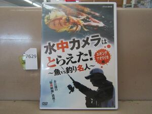 7629　中古DVD 水中カメラはとらえた! 魚VS釣り名人 エギング アオリイカ編 宮澤幸則