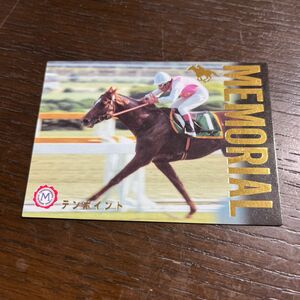 テンポイント 名馬 競馬