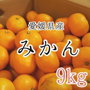 1愛媛みかん 1999円 9kg 愛媛県産 訳あり家庭用