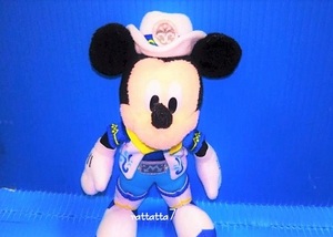 ☆TDL☆Disney☆Micky Mouse☆2010☆サマースプラッシュ☆ミッキーマウス☆ぬいぐるみバッジ☆ヌイグル☆東京ディズニーランド