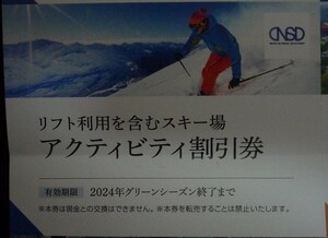 在庫9有☆日本駐車場開発 株主優待券 アクティビティ割引券 日本スキー場開発 リフト券 白馬八方尾根 竜王 ポイント消化 PayPay 最新 即決