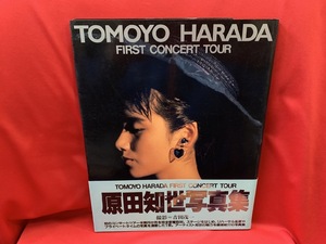 原田知世写真集　FIRST CONCERT TOUR / 撮影・吉田茂一 【富士見書房】