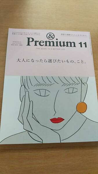 &premium 2022.11 107 アンド　プレミアム　大人になったらえらびたいもの、こと。　 中古品服選び　、もの選び、住まい方、そして生き方