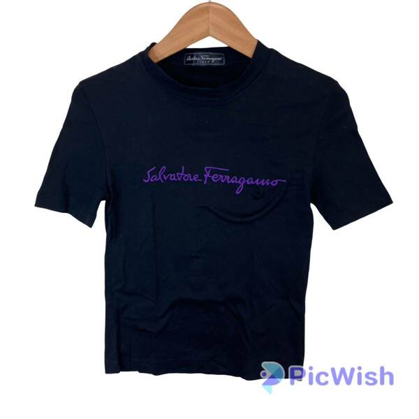 Salvatore Ferragamo サルヴァトーレ　フェラガモ　ladies レディース　tシャツ size:不明（約レディース:S） collar:ブラック×パープル