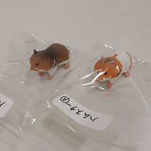 まとめ フルタ チョコエッグ 海洋堂 動物 昆虫 10個 セット 本体のみ / チョコエッグ 非売品シール セット / フィギュア_画像4