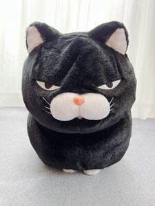 ひげまんじゅう 黒豆 ねこ ネコ BIG ぬいぐるみ 全長約40ｃｍ