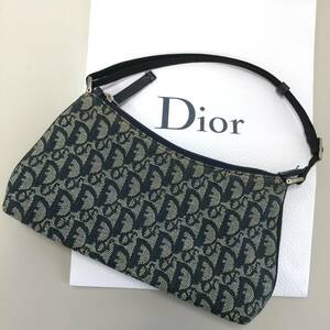 ○【Dior】ディオール ハンドバッグ ブランド レディース 女性 鞄 かばん ファッション コーデ ショップ袋 中古品(NF231107)483-84-①