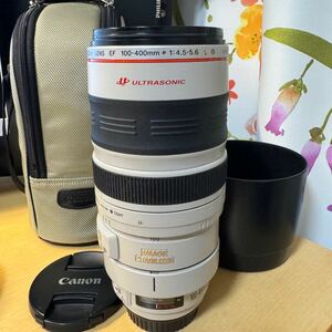 Canon EF 100-400mm F4.5-5.6 L IS USM #393