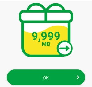 即決　mineo パケットギフト 約10GB (9999MB) マイネオ