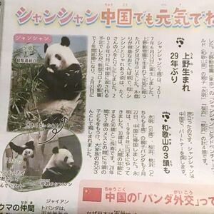 さよならシャンシャン中国でも元気でね！返還直後の記事　上野動物園　ジャイアントパンダ