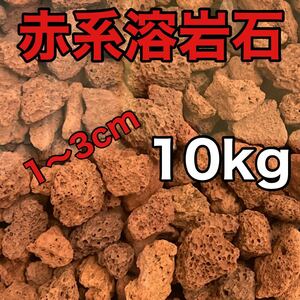 中国産 溶岩石 レッドロック 10kg アクアリウム低床 ろ材 観葉植物 多肉