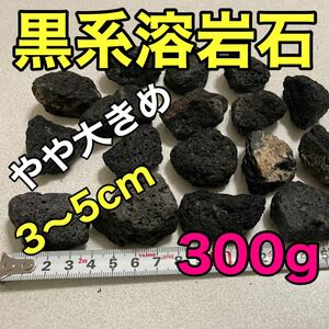 溶岩石 黒系 300g 13〜17個 アクアリウム 水草活着 コケリウム