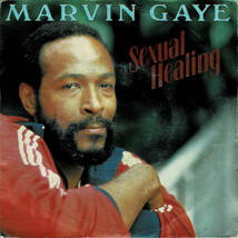 ★人気★ECDのロンリーガール他ネタ★INST収録★7インチ★MARVIN GAYE／SEXUAL HEALING／45 7inch DJ KOCO MURO CAPTAIN VINYL K-DUB SHINE_画像1