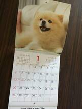 2019年 カレンダー*dog*平成31年*生き生き 可愛い子犬*掛け*新品*非売品 _画像2