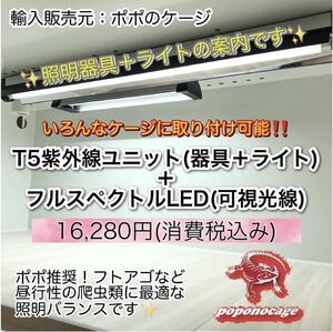 送料込み☆ ポポのケージ ☆ 昼行性爬虫類用照明器具セット ☆