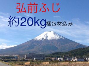 青森県産産地直送　弘前ふじ　約20kg 規格外　家庭用　B級品　