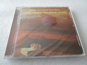 David Sancious and Tone Transformation 新品CD