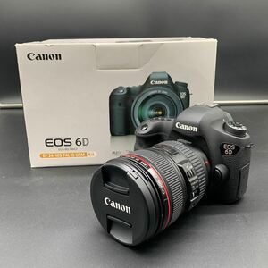 029 美品 Canon デジタル 一眼レフ カメラ キヤノン EOS 6D