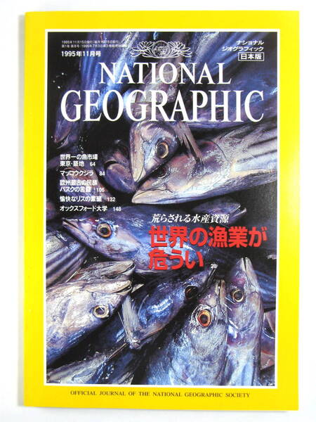 ★雑誌★【ナショナルジオグラフィック日本版 1995年11月号 8号】NATIONAL GEOGRAPHIC★危うい世界の漁業★未使用品★