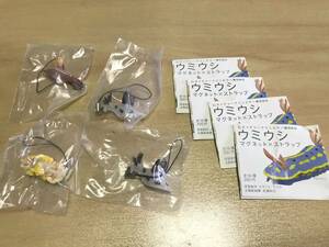 【送料：230円】ウミウシ◆ストラップ◆３種４個【ガチャガチャ景品】