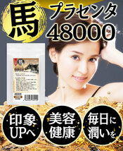 馬プラセンタ24000 お徳用120粒　北海道サラブレット胎盤使用　1日目安/4粒　約1ヶ月分　1袋当たり馬生胎盤　約24,000mg相当配合_画像7