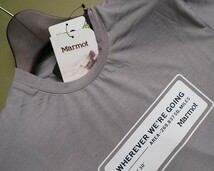 新品正規 Marmot マーモット 海外限定 接触冷感 抗菌防臭 Dinuva Round 半袖 Tシャツ95(M)メランジグレー(MG) 直営店購入_画像3