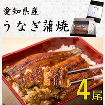 ◆愛知県産 うなぎ 蒲焼 (170g～195g) x 4尾 国産 ★ 鰻 蒲焼：真空パック・冷凍 蒲焼き_画像1