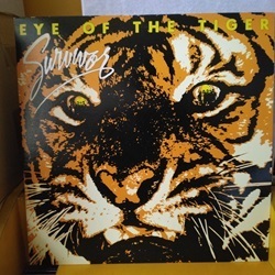 ロック Survivor / Eye Of The Tiger LPです。