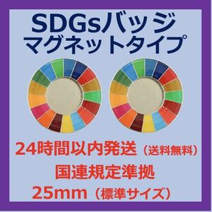 SDGsカラーホイールバッジ　マグネットタイプ 2個セット